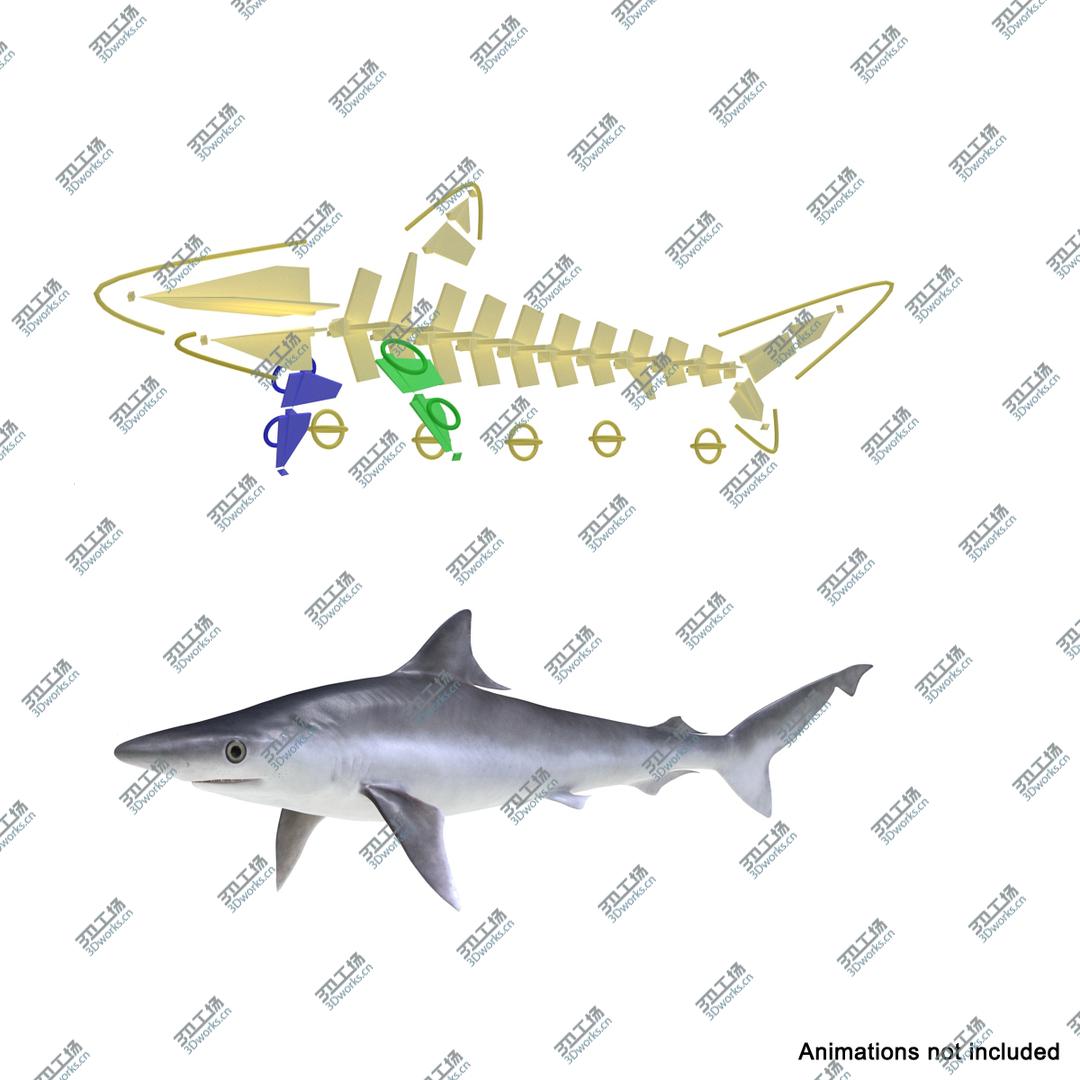 images/goods_img/2021040163/3D Rigged Sharks Big Collection/5.jpg